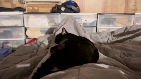 How stubborn are your voids on cold mornings?