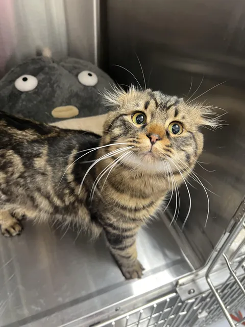 My best friend Troutman Corndog came to visit me at work today