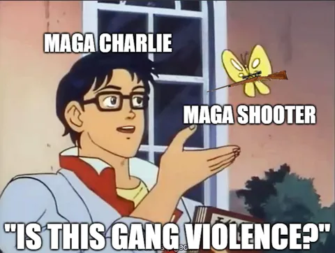 Maga-On-Maga Violence