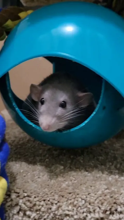 Anyone know what she's doing?