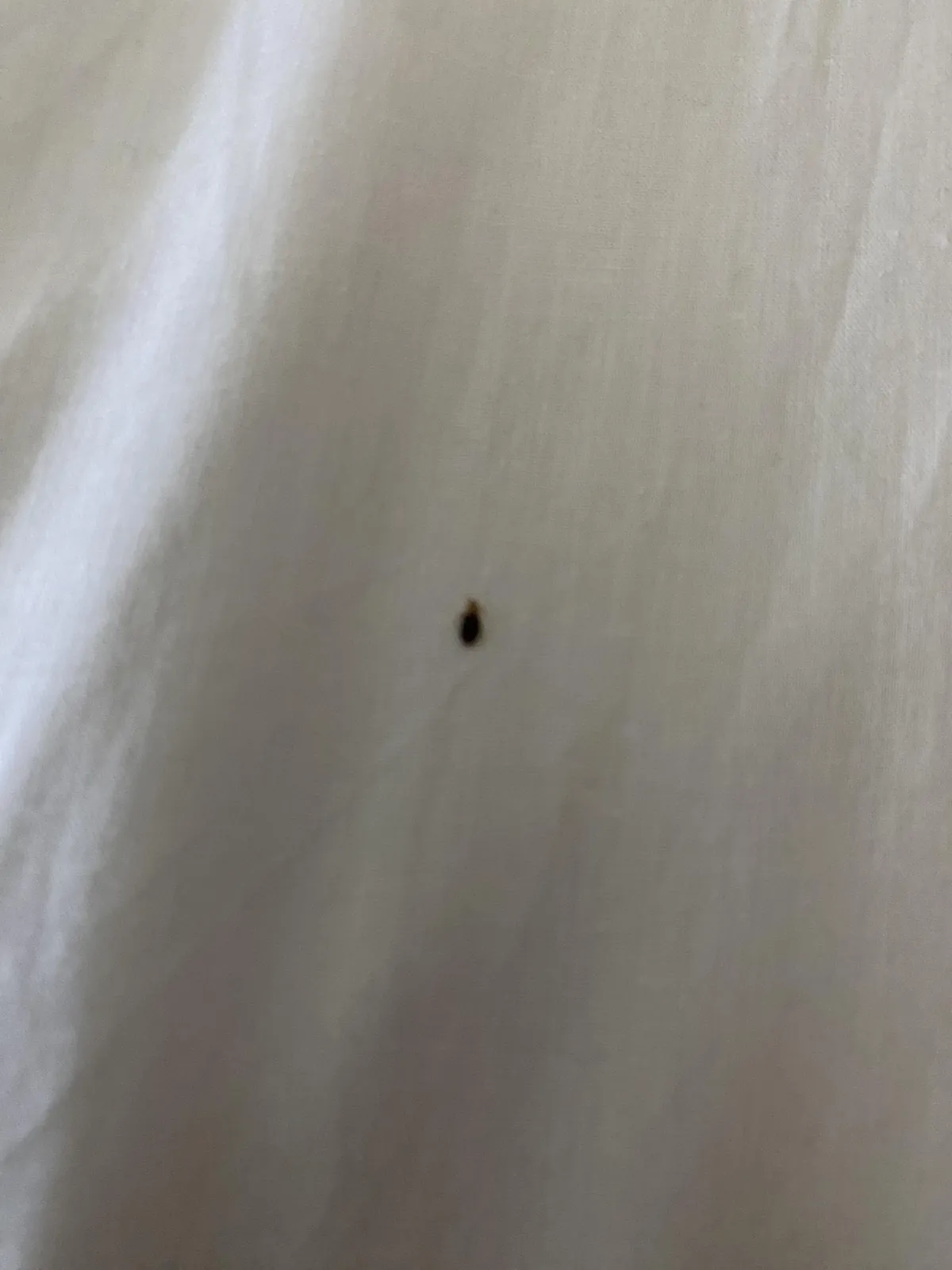 Wife is on a work trip. She had to wake up at 4AM to drive 2.5 hours and work for about 12 hours. Finally got to her room and found this while getting ready for bed.