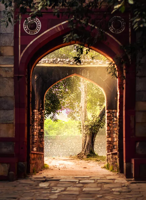 ITAP of a Pretty Tree
