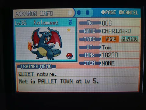 Finally have the dream of every young man