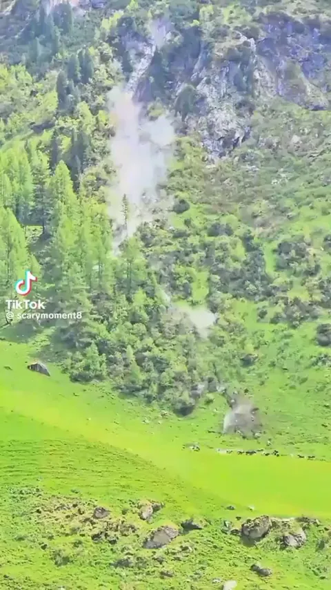 Those cows were mooving fast