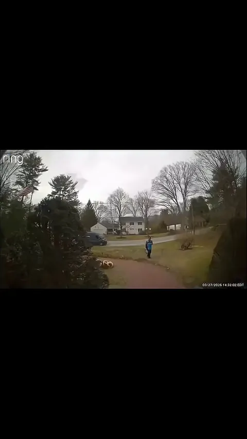 It’s a BIG BABY!🐶