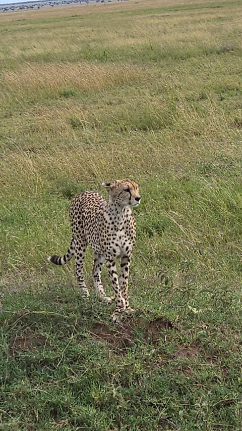 The Beauty of Tanzania