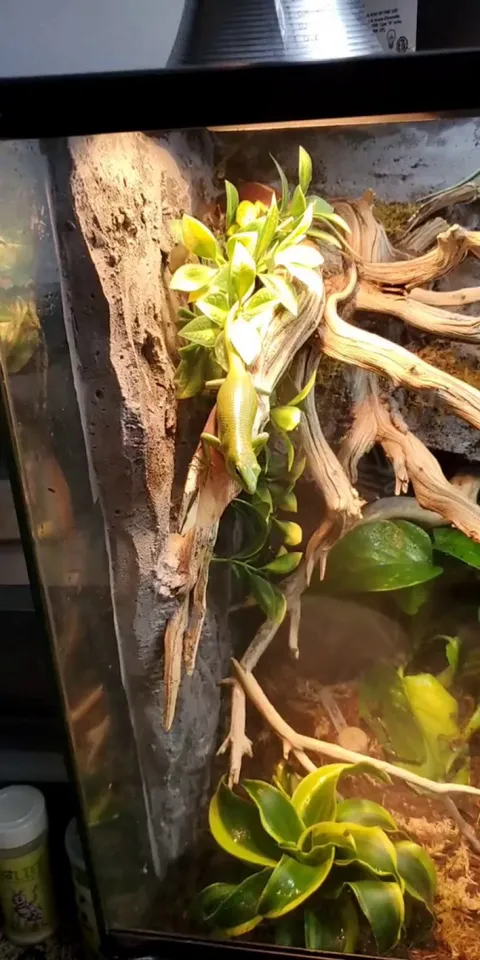 Finally earned his trust and now he waits for me every morning like this