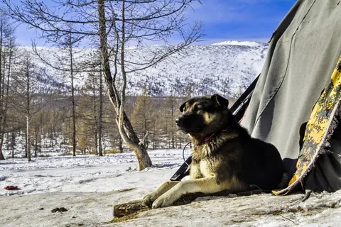 Mongolia in winter - the frozen wonderland
