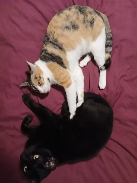 She's just gone. Just like that. Gone.