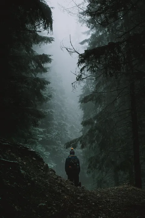 ITAP of my friend walking in the forest