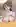 Hasumi [Blue Archive] (retoposy)