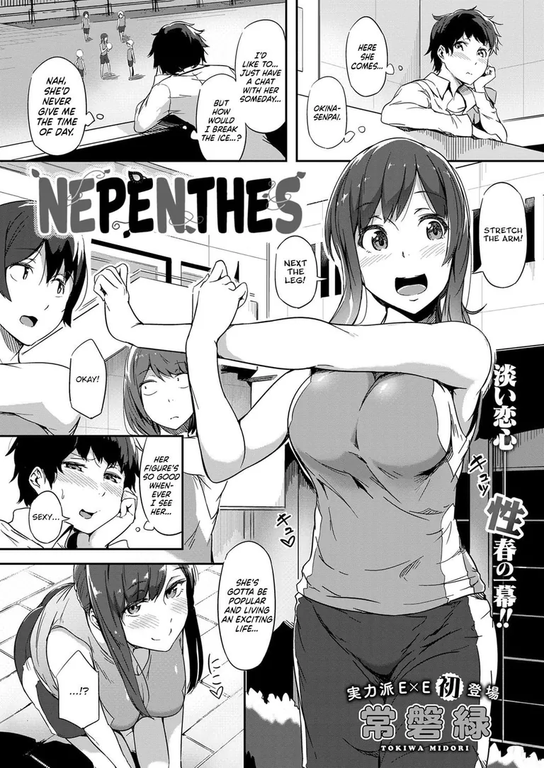 [Tokiwa Midori] Nepenthes