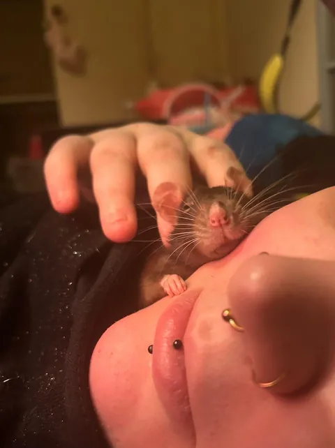 Are you guys sick of all the marmite photos yet? She’s just so damn cuddly