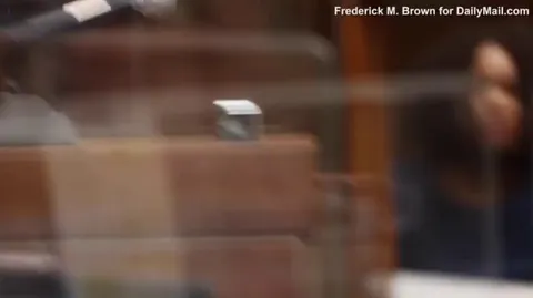 Nurse who killed 6 people in a 90mph crash in LA, has a history of mental illness, and has had 13 other prior crashes. She was denied bail for $6 million dollars.