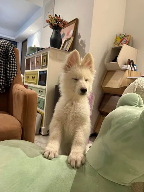 Excuse me, can I come up?