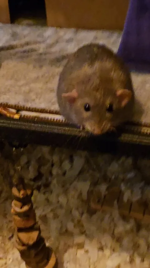 Just Jimily being happy just for existing.