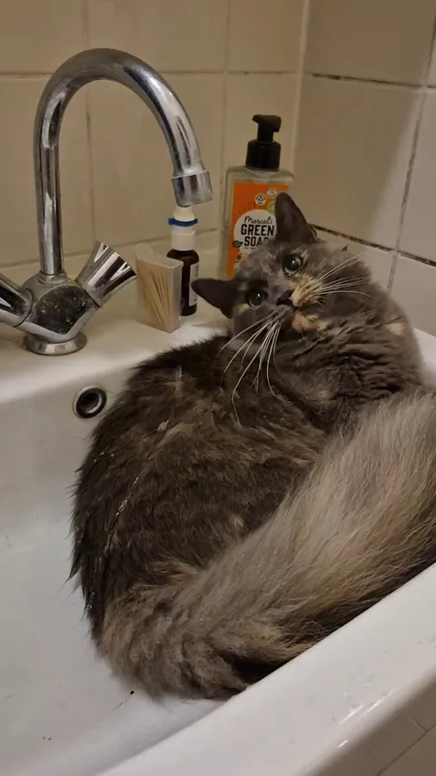 She's so close to figuring out what is happening