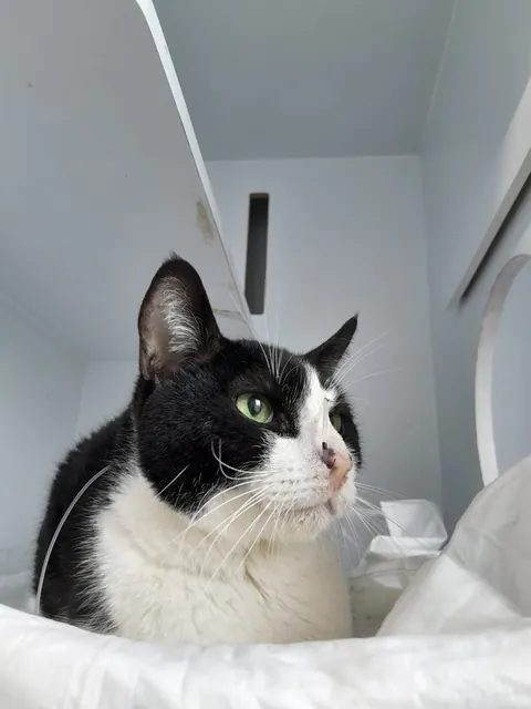 My best friend has left me. I will miss you forever, Luke.