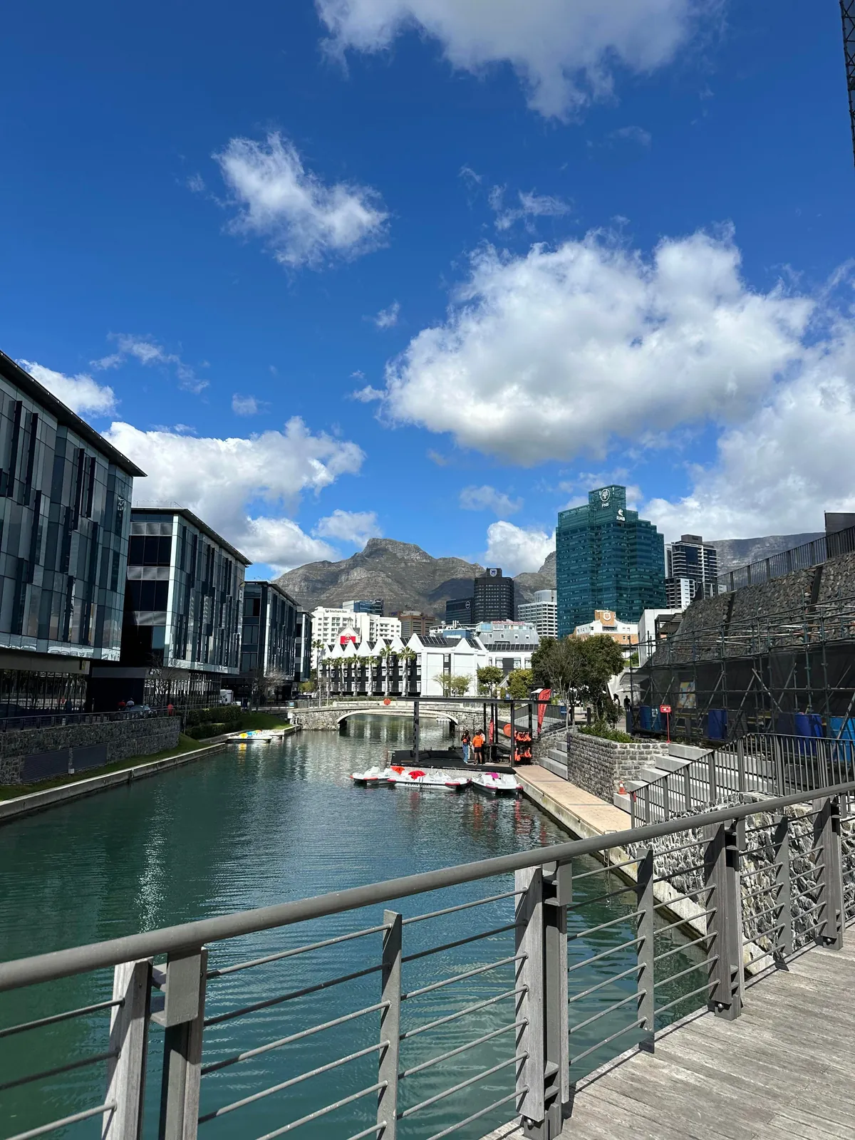 Cape Town is my new favorite city 🇿🇦