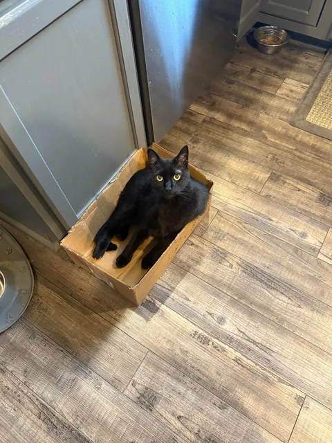 goodbyes are hard