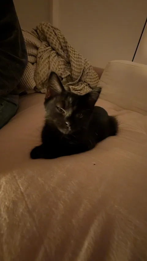 Got this cutie over the weekend. Having a hard time settling on a name.