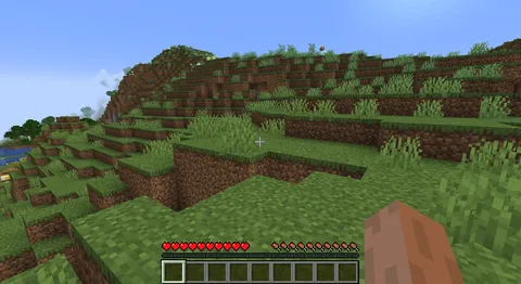 How to know If a screenshot is from Java or bedrock edition?