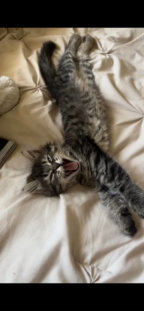 SAY HAPPY BIRTHDAY PLEASE