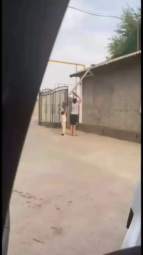 Children rescue kitten from tall roof