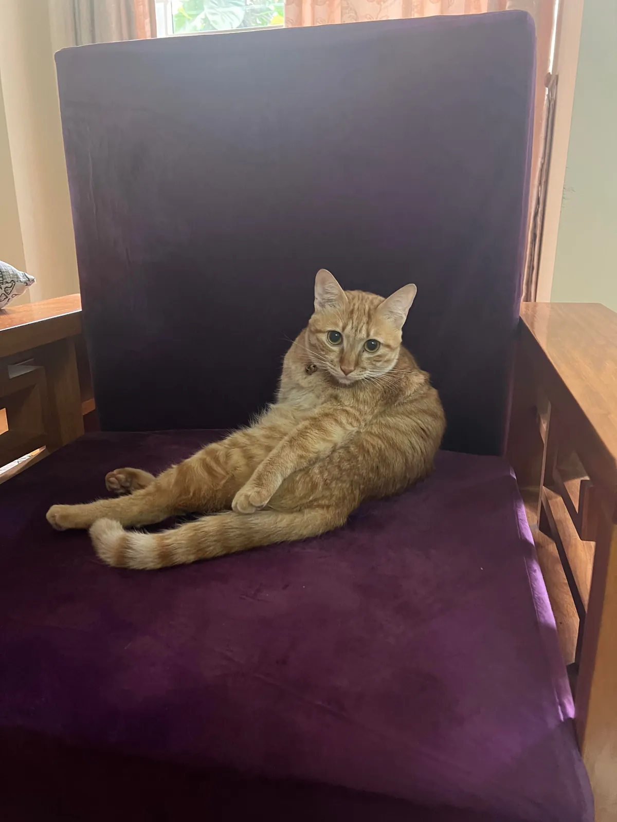 My roommate is unemployed and has a bad posture, roast him