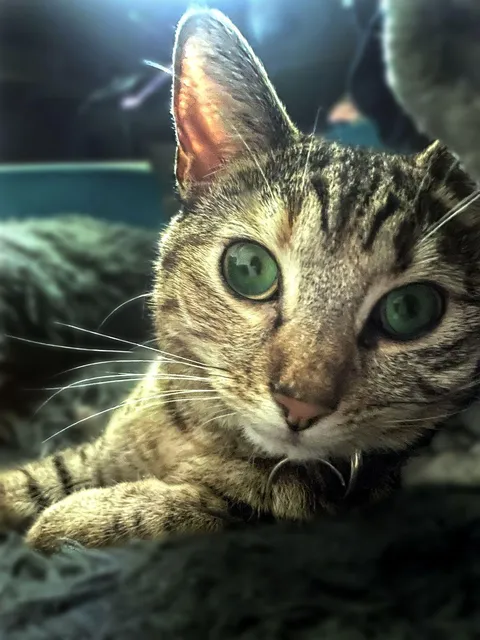 Show me your favorite close ups