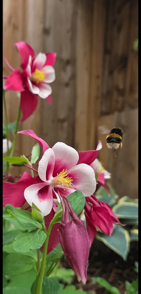 For the lovely soul who stole my photo, here are more.