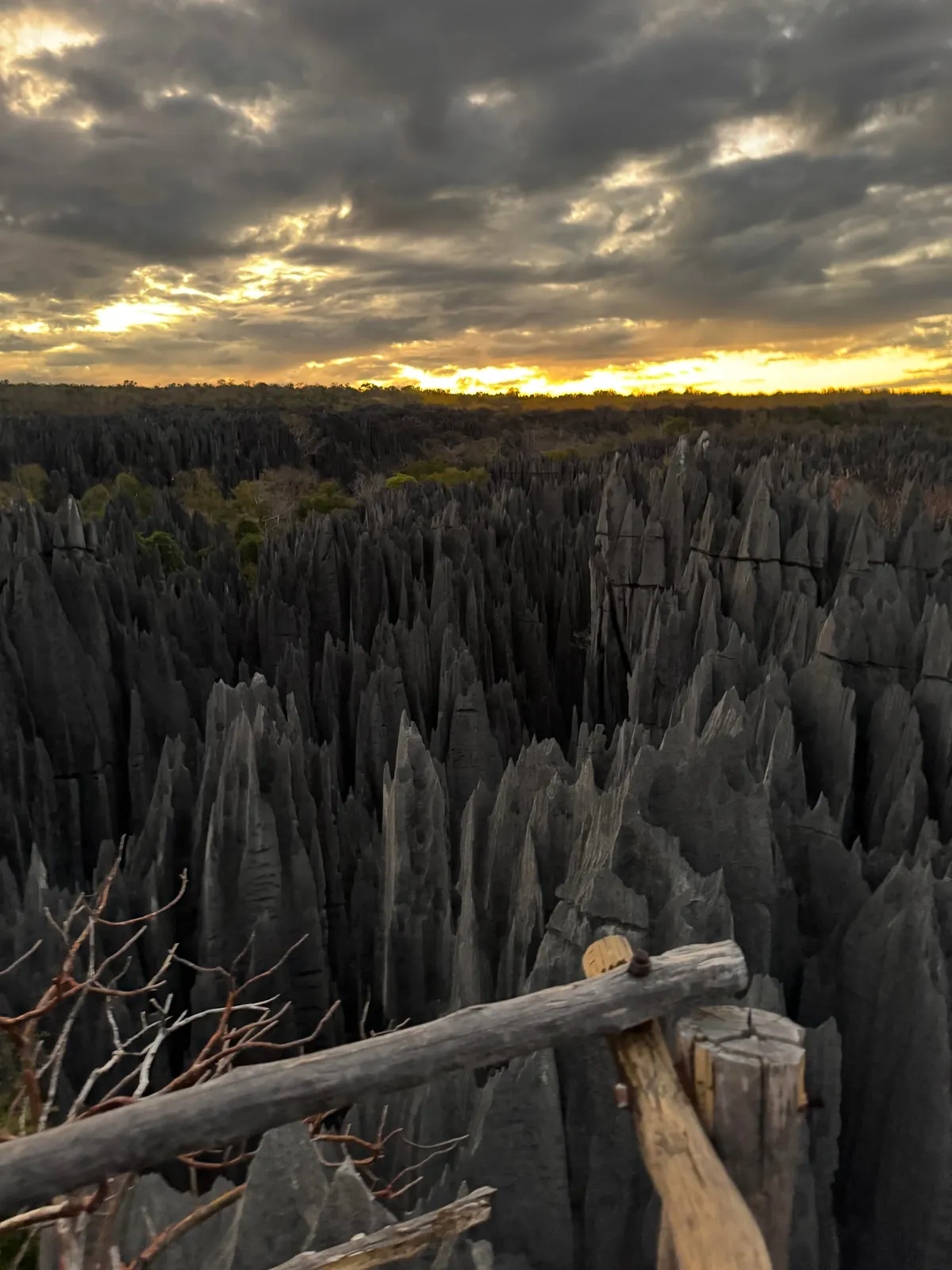 madagascar is goddamn epic