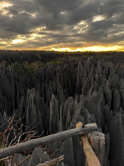 madagascar is goddamn epic