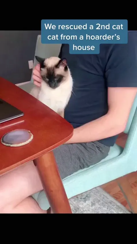 The tale of a rescue cat, and his new best friend