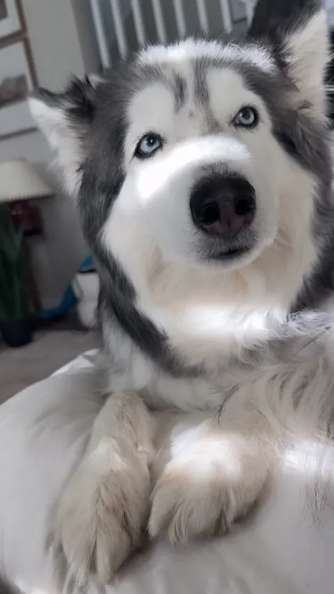 I love how she is in the mornings