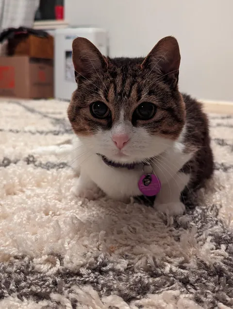 My Best Friend Sarah