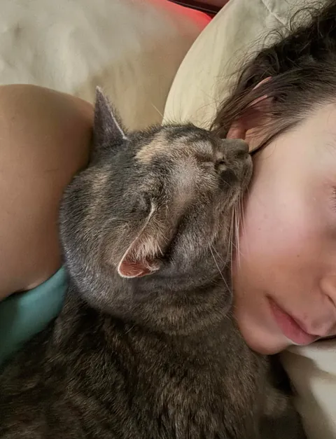 My cat is obsessed with me, separation anxiety?