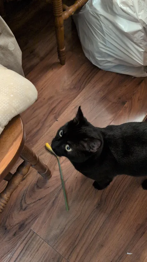 Who says romance is dead?