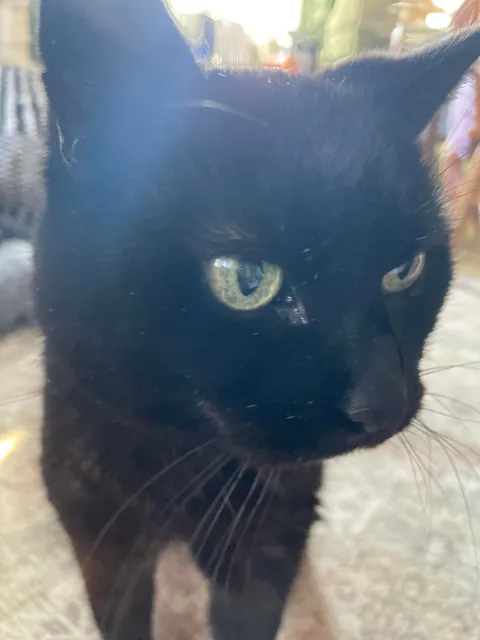 22 Years Old and Still Runs The House