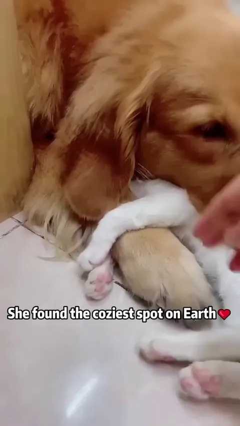 Unexpected friendships