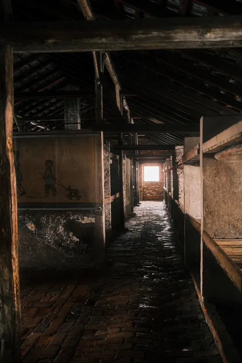 Auschwitz-Birkenau: Nazi German Concentration &amp; Extermination Camp (Poland)