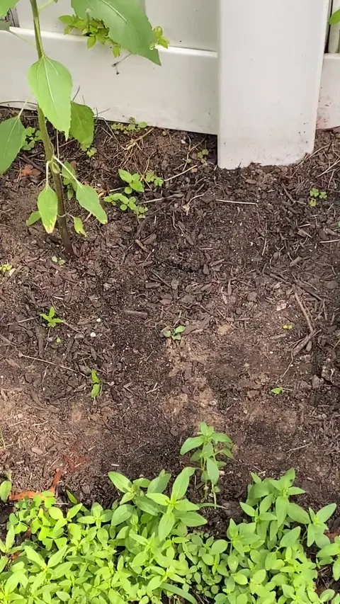 Well well well…what do we have here?