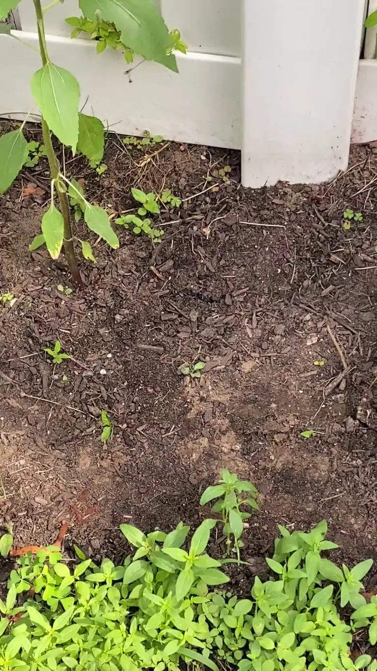 Well well well…what do we have here?