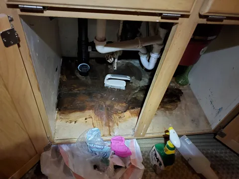 Took the opportunity to brighten up the space under my sink...