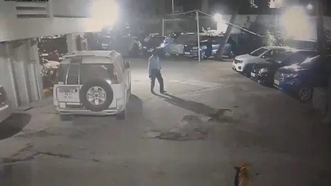 Dog feeder assaults a security guard defending himself from a dog attack