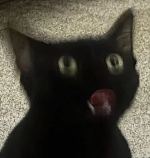 anyone else have an expressive void?