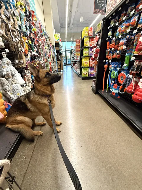 Decisions, decisions…