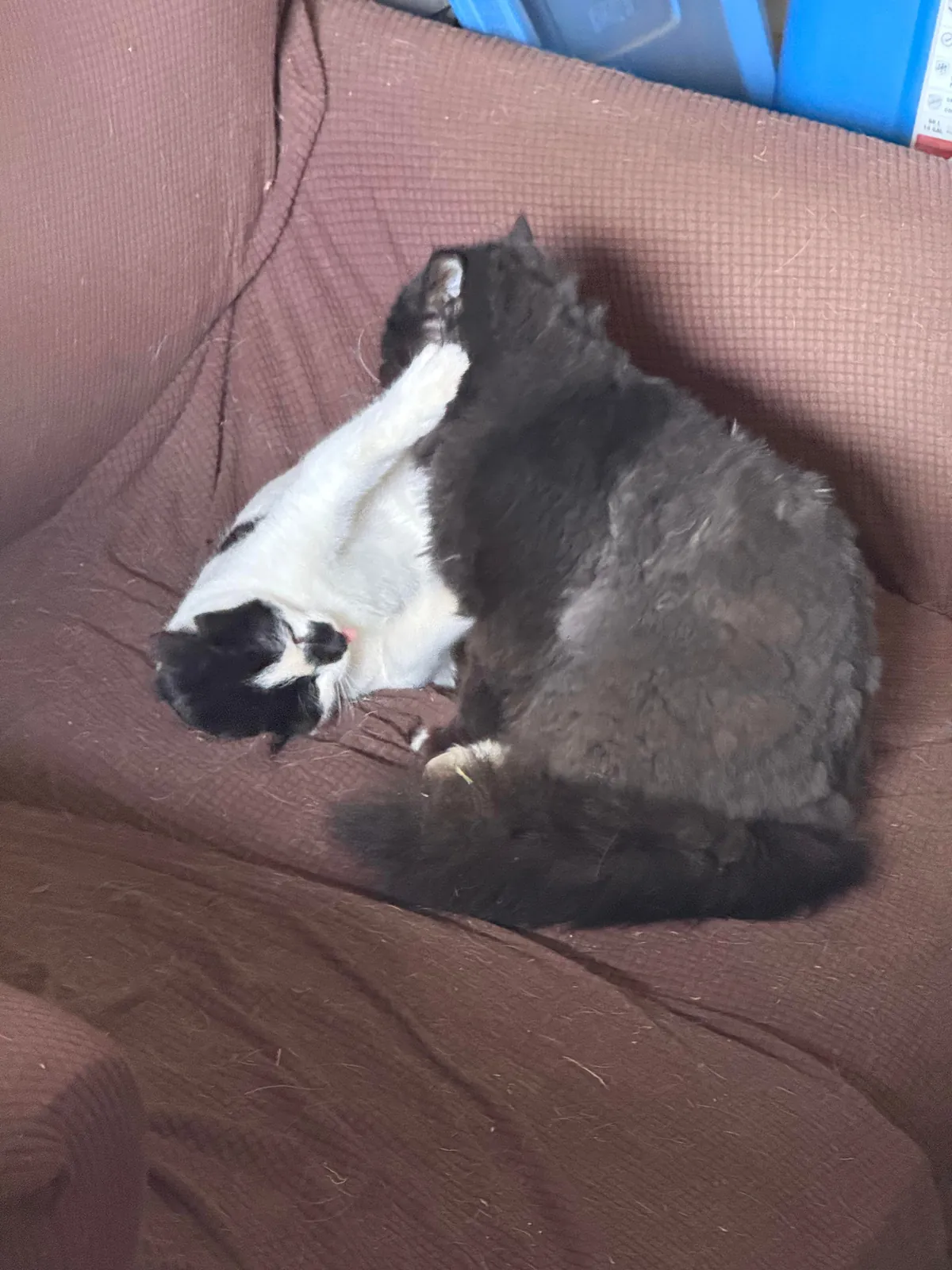 Pazuzu bothering Murphy when he was just trying to rest