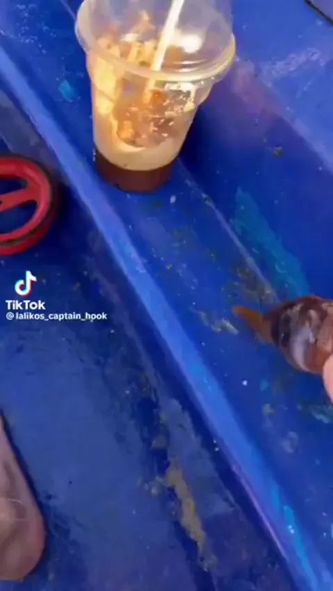 The way this Tuna grabs food without breaking the surface of the water