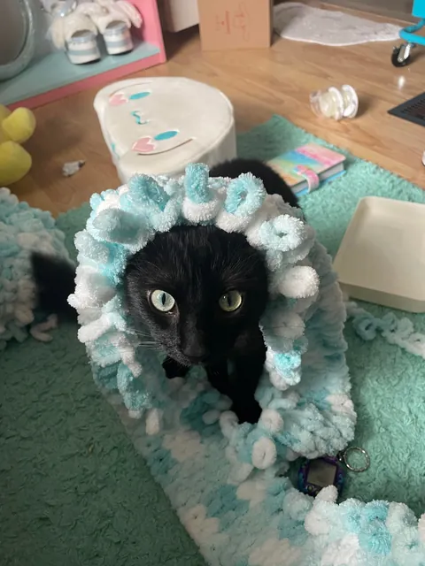 I lost my Lapis last night💔